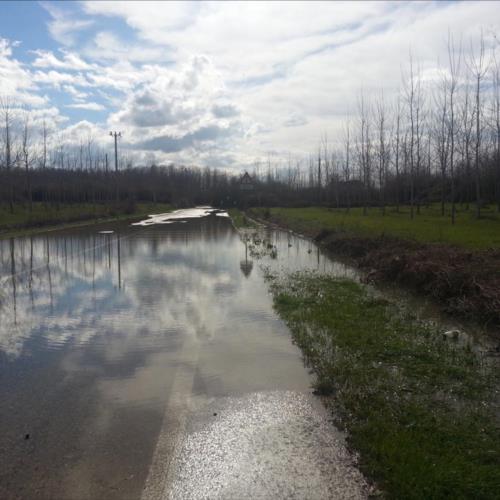 Immagini fornite da Sonia Ferraro