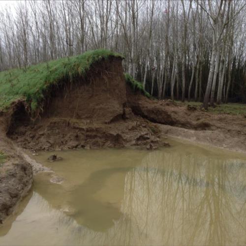 Immagini fornite da Lorenzo Falaschi